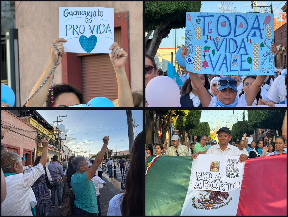Cuatro cartulinas y pancartas de la marcha con las consignas «Guanajuato es provida» y «Toda vida vale»